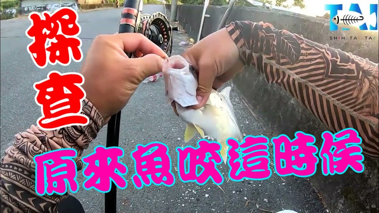 宜蘭 水門的地方不一定有魚，時間挑對很重要