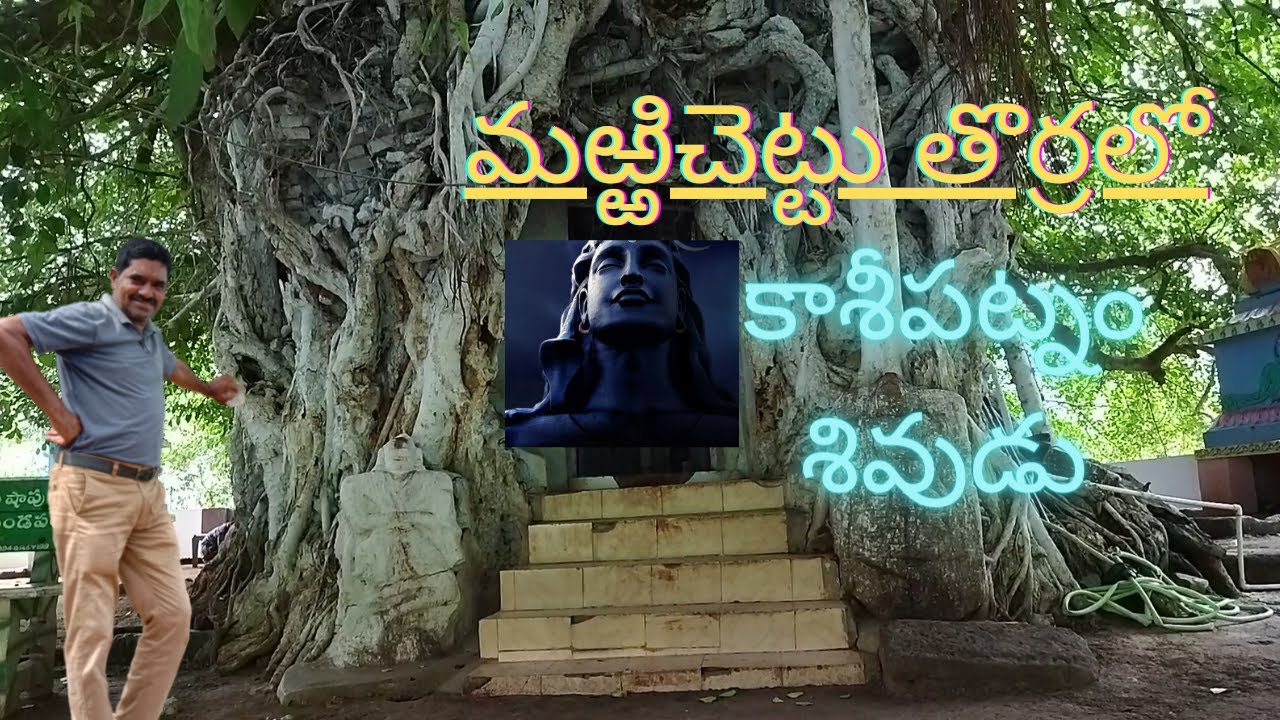 kasipatnam sivalayam(tree temple)