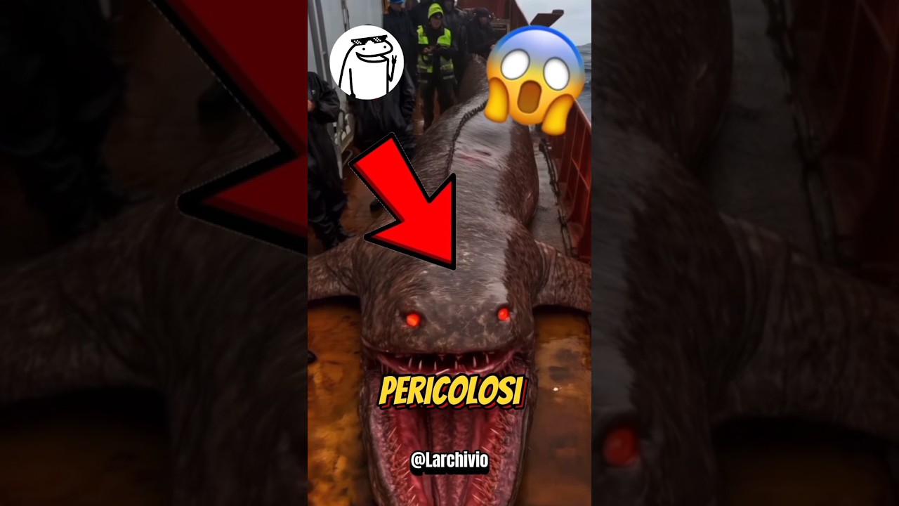 ECCO I 3 ANIMALI PI&Ugrave; PERICOLOSI AL MONDO 😱🌍 #informative #documentary #facts