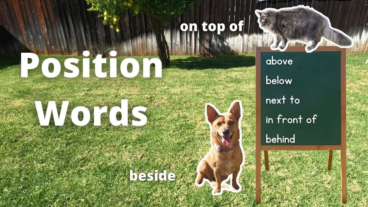 Professor Ginger and Axle teach Position Words   4K