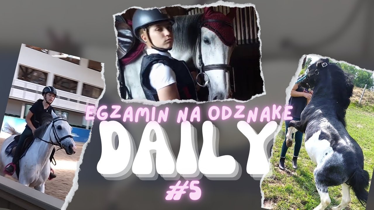 DAILY#5 |egzamin na odznakę JK#konie#egzamin#koniara
