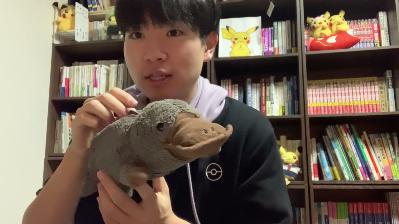 パスポート無いけど「オーストラリア行き」の航空券を買いました。【Holy Road #16】