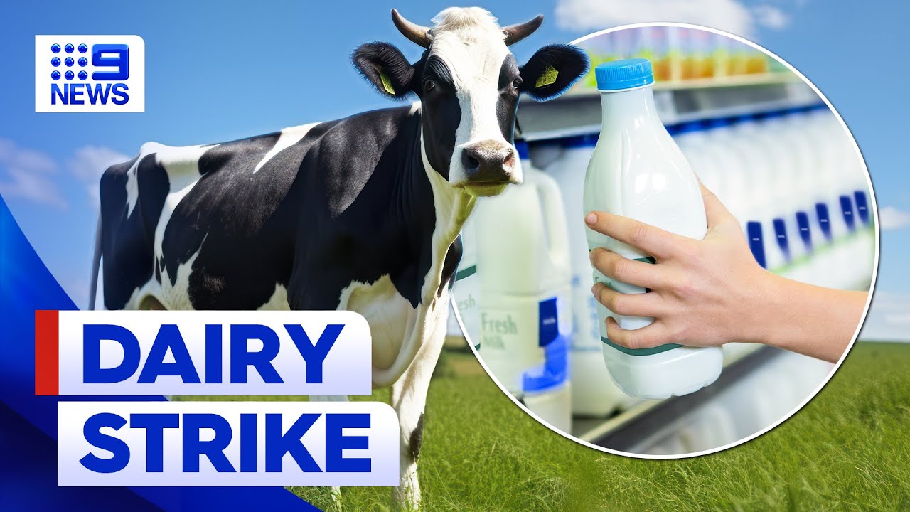Dairy workers strike, calling for better pay across Victoria | 9 News Australia