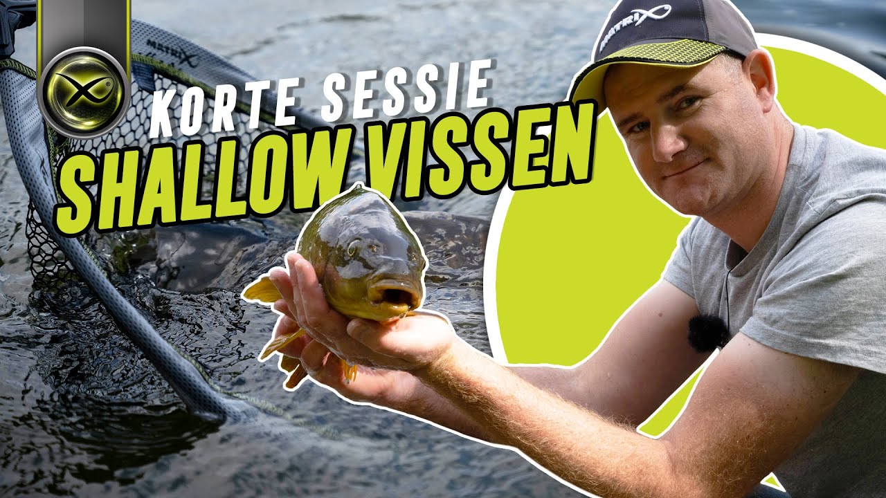 Korte sessie: Shallow vissen