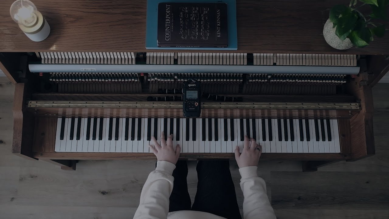 Golden Butterflies | Ludovico Einaudi | Nomadland (Cover)