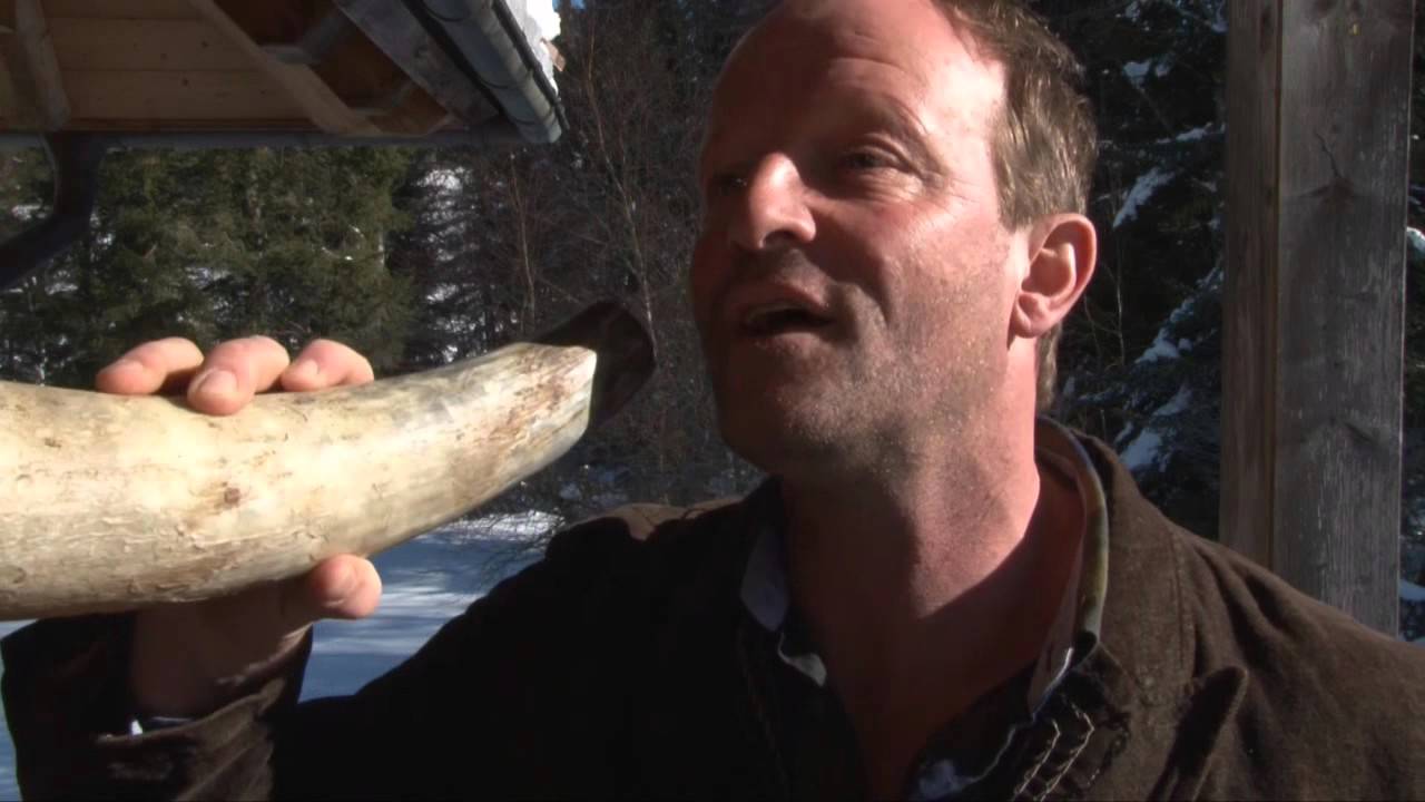 Martin Wangler - Hirschrufen