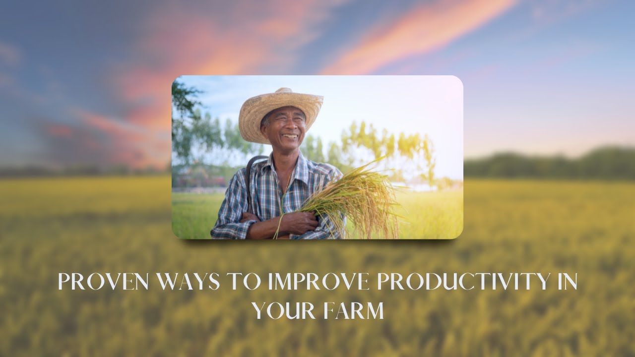 TOP 10 Proven methods to improve farming productivity | Farming tips