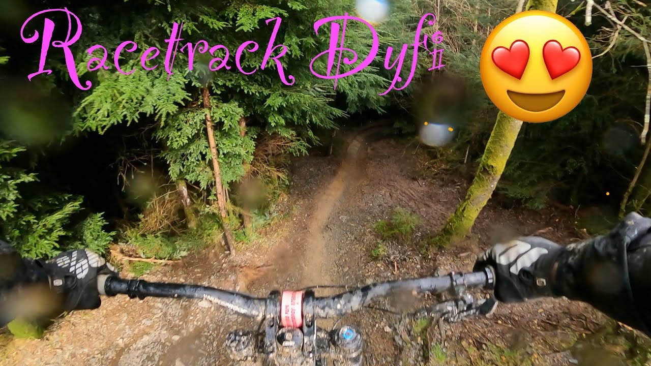 Dyfi bike park. Racetrack