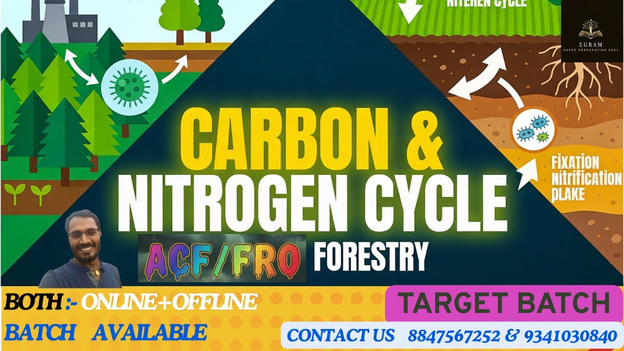 CARBON AND NITROGEN CYCLE ||EVS ||FORESTRY ||ACf|| FRO||#forestry #upsc #acf #fRO #jpsc #conservator