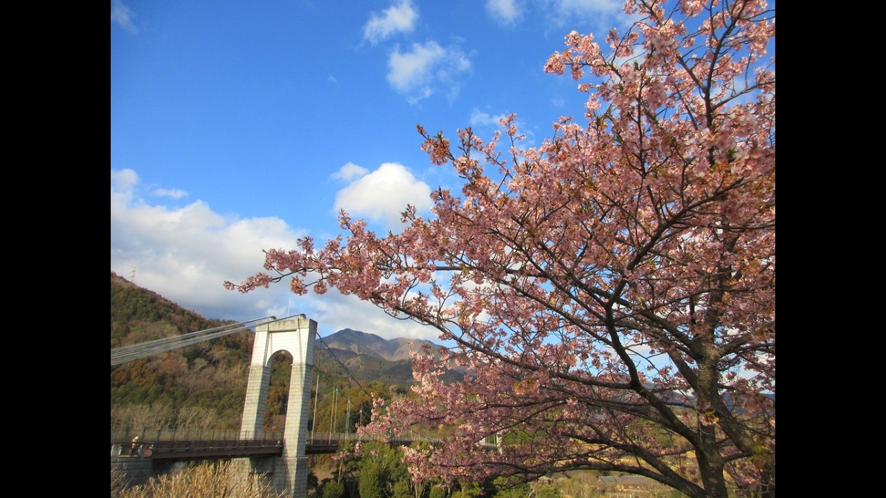 堀山の家火事現場と悪天の丹沢山と廃道の仲尾根で周回登山！