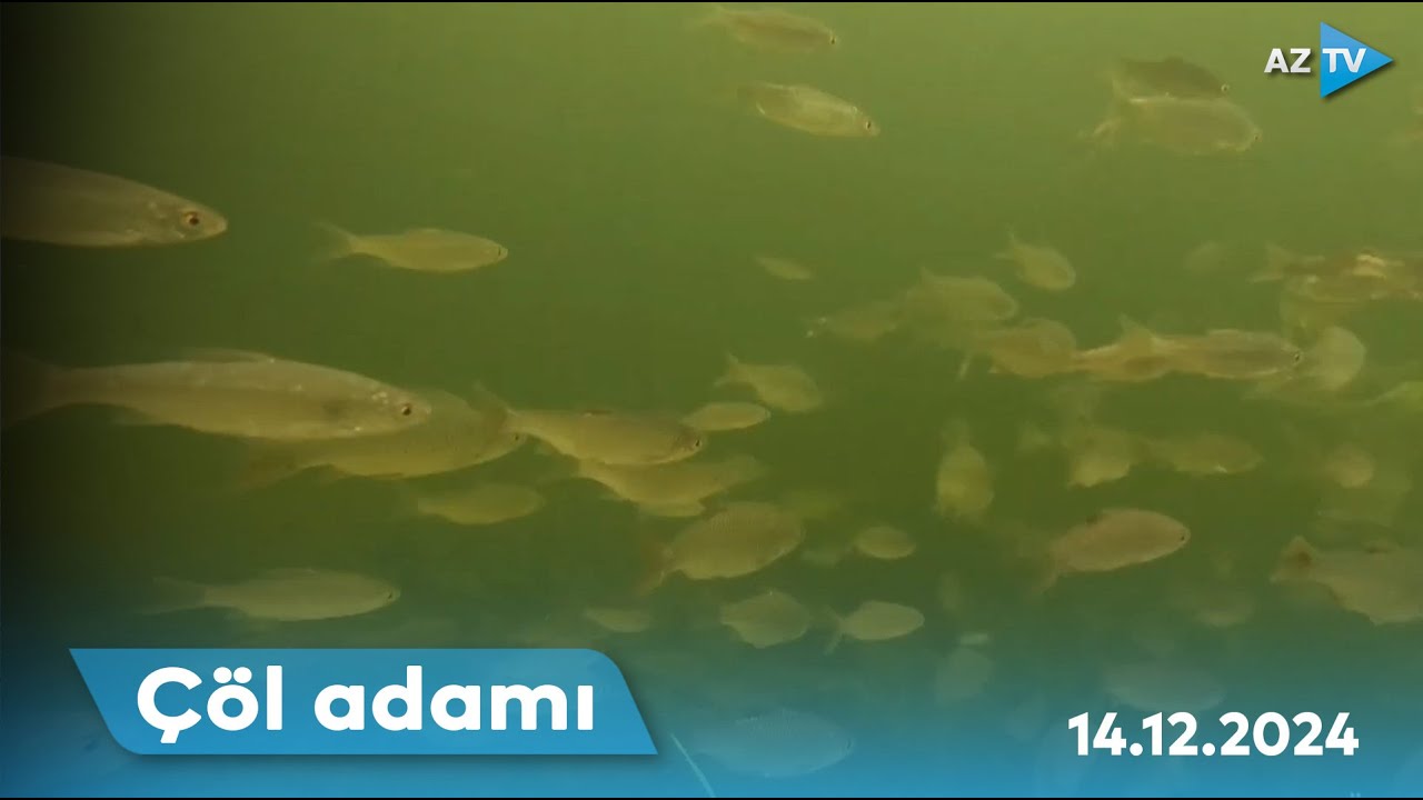 "Çöl adamı" durna balığı ovunda I ÇÖL ADAMI – 14.12.2024