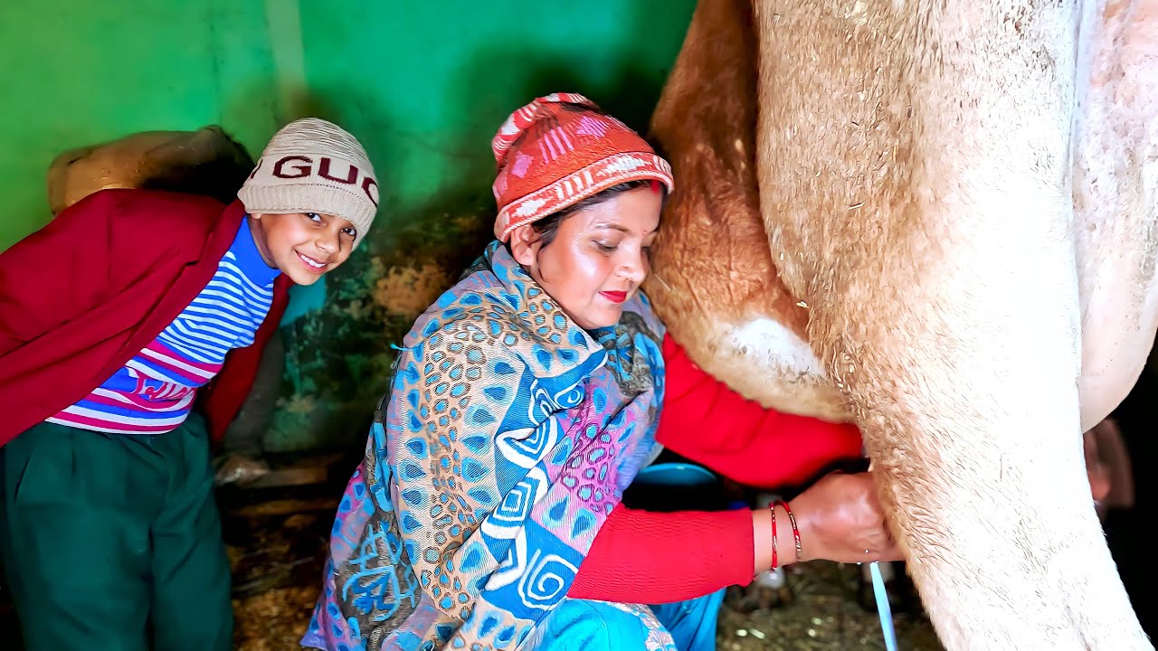 Sangharsh-1, || Cow milking video || I will teach my daughter to milk a cow  #india #villagelife