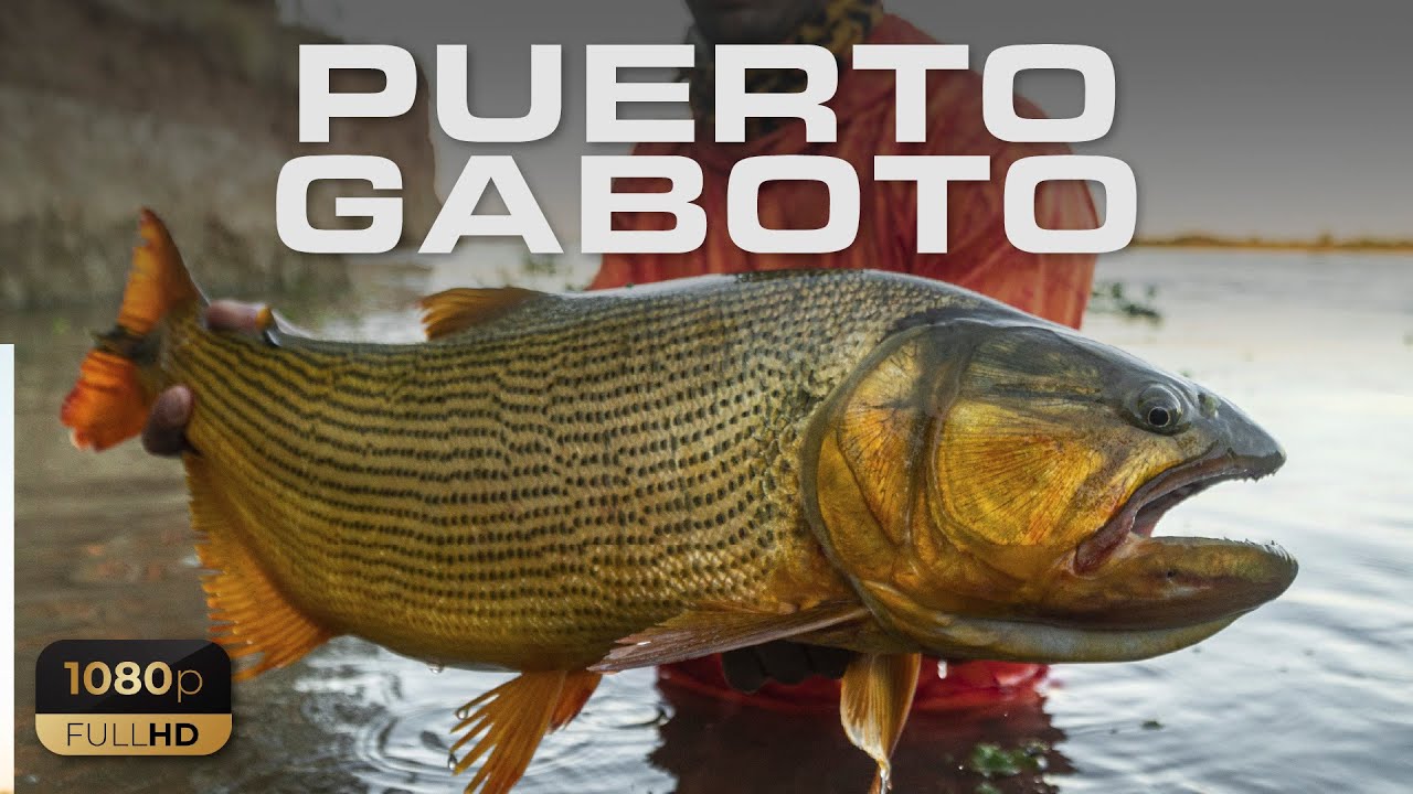 Baitcast en Puerto Gaboto con Doradazo a último momento!