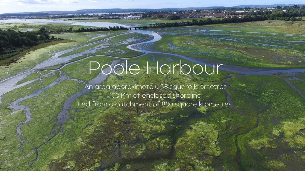 Restoring Poole Harbour: Understanding the Impact of High Nutrient Levels (Episode 1)