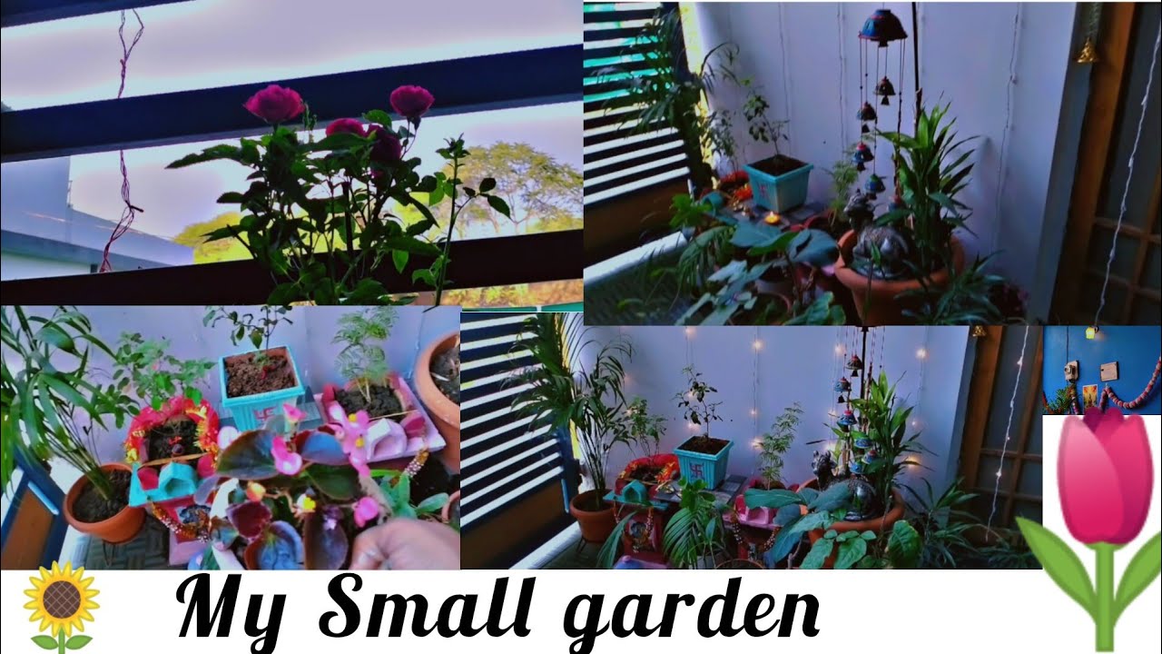 My Small porch Garden||Mini vlog|diy planter|| full day with my garden||🥰