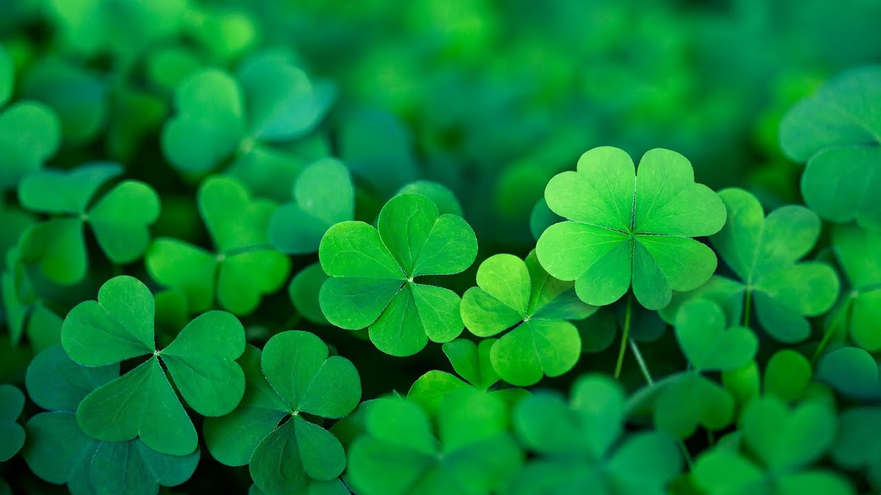 Happy Irish Music &ndash; Saint Patrick's Day | Celtic, Cheerful ☘️