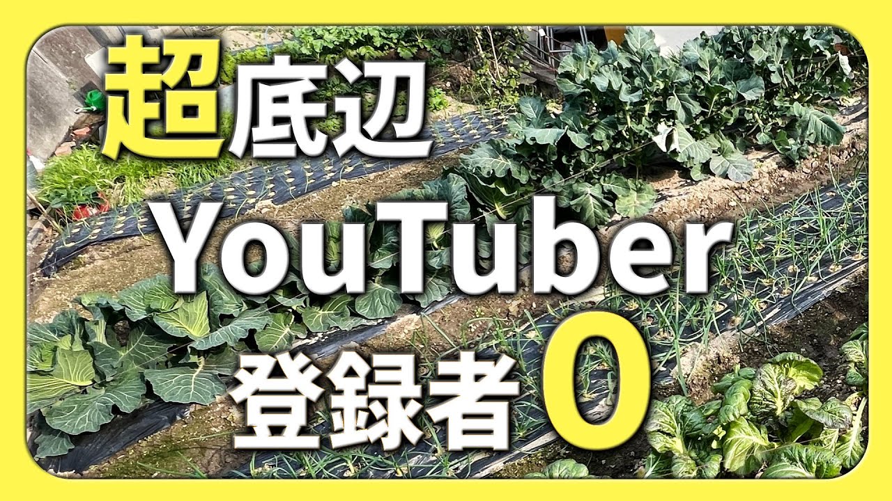 再生0から少し動いた｜登録者0のYouTuberの正直な分析と本音【2026.1.5】