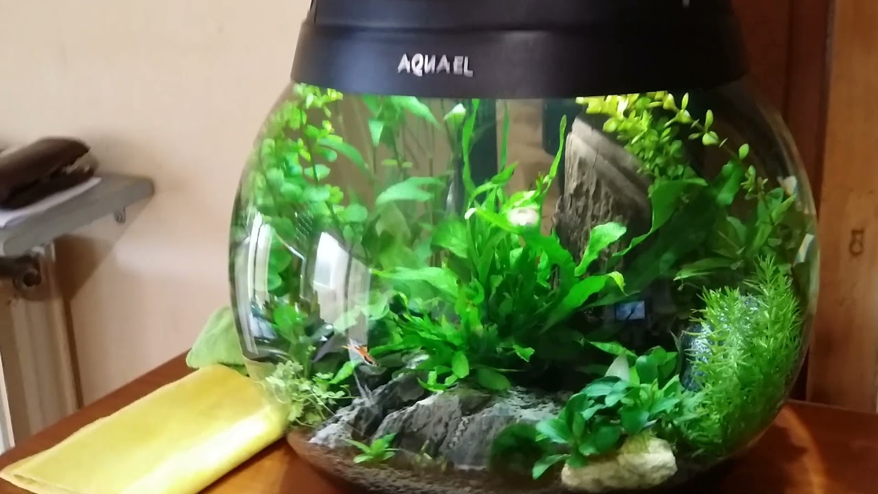 20210529 155822 aquael sphere 37