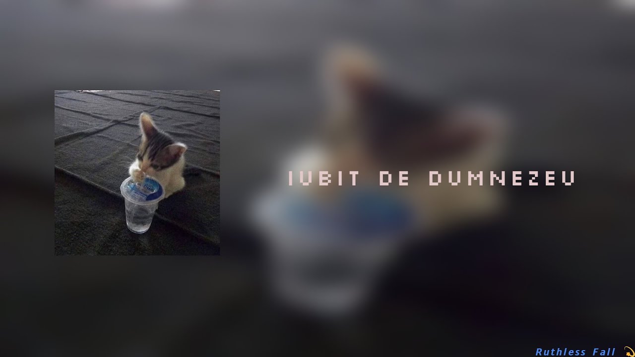 Florin Salam , MGK, Leo De La Kuweit, Petre Stefan & YNY Sebi - Iubit De Dumnezeu | slowed n reverb