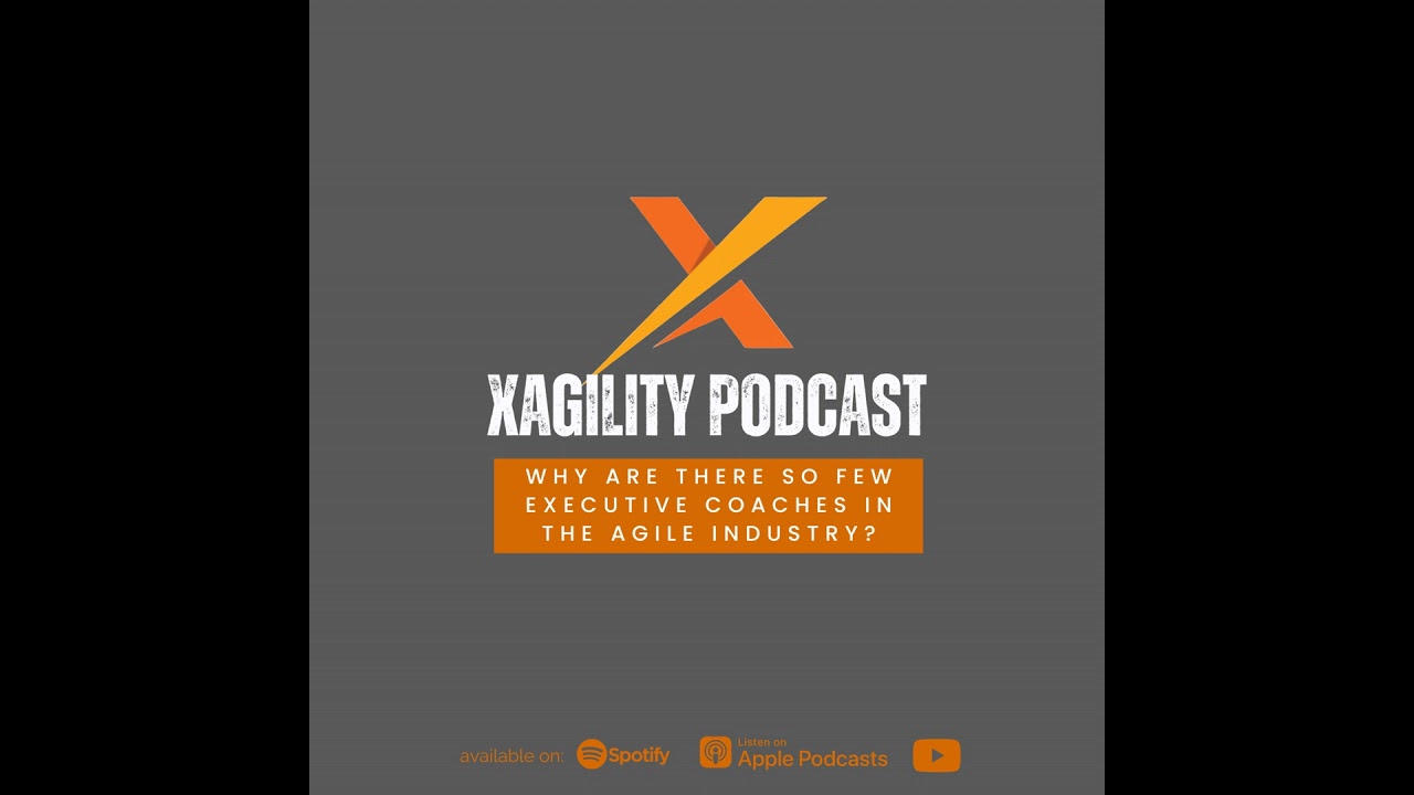 Why are there so few executive coaches in the agile industry?