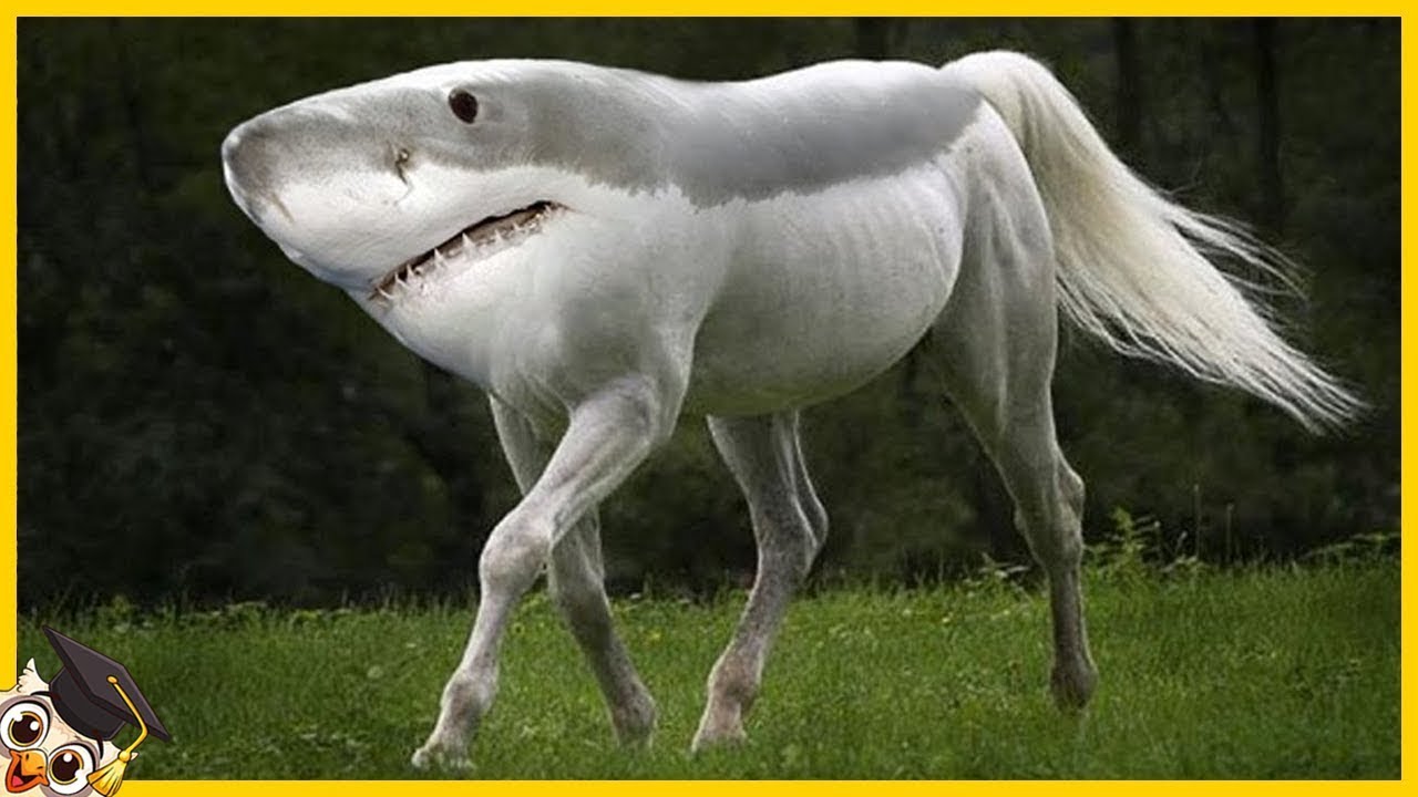 15 Animali Che Hanno Partorito Altri Animali