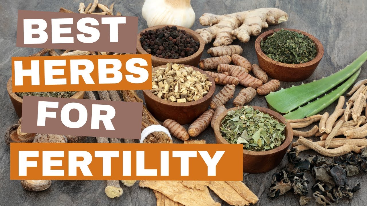 Best Herbs For Fertility -Boost Ovulation, Improve Egg Quality, Get Pregnant Quickly.