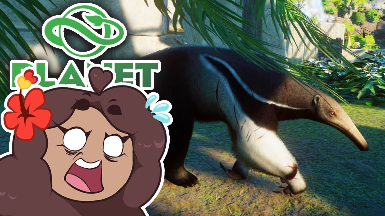 A Rescued Pregnant GIANT ANTEATER Arrives?! 🐼 Zoodesia Zoo • #82