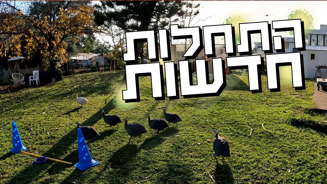 התחלות חדשות בבית ובמשק - פרק שאסור לפספס