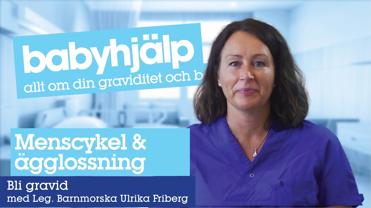 Bli gravid - menscykeln och ägglossning