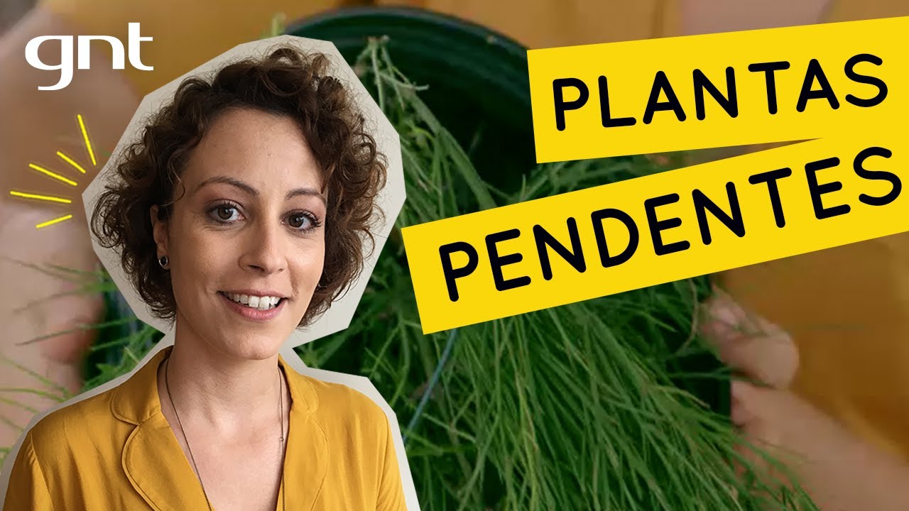 Jardineira com plantas pendentes 🍃 | Jardinagem | Carol Costa