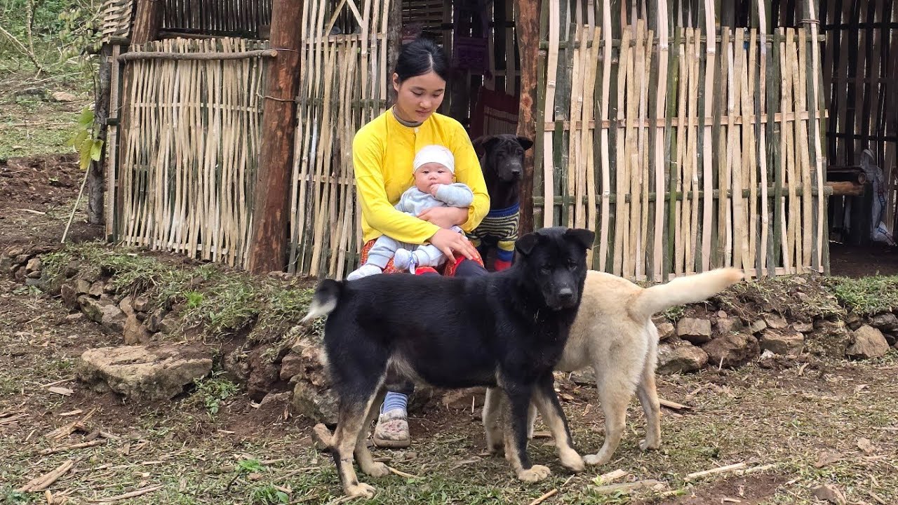 No relatives, alone on the mountainside, the girl cleaned the house while holding her newborn baby.