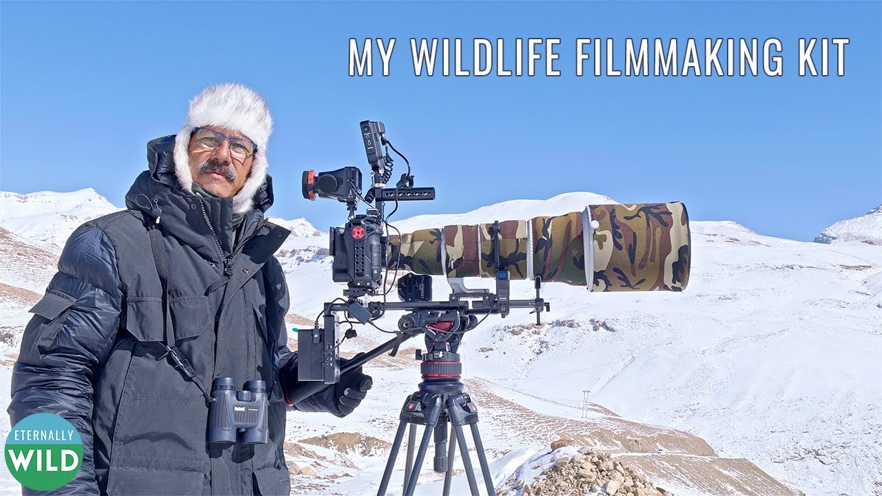 Essential Cinematography Gear: My Go-To Wildlife Filmmaking Kit
