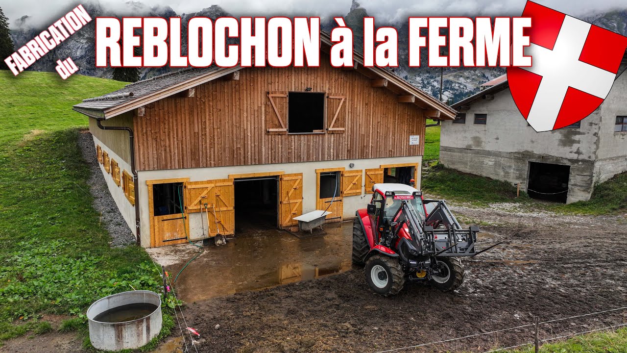 👨‍🌾🧀FABRICATION du REBLOCHON FERMIER en MONTAGNE : une MAGNIFIQUE MATINÉE dans cet Élevage !!! 🤩