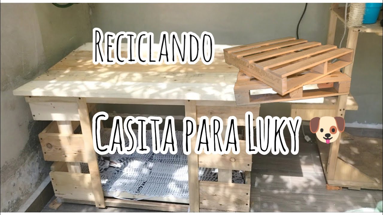 Casa para perro con tarimas🐕| reciclando pallets | luky está feliz con su casa 💟