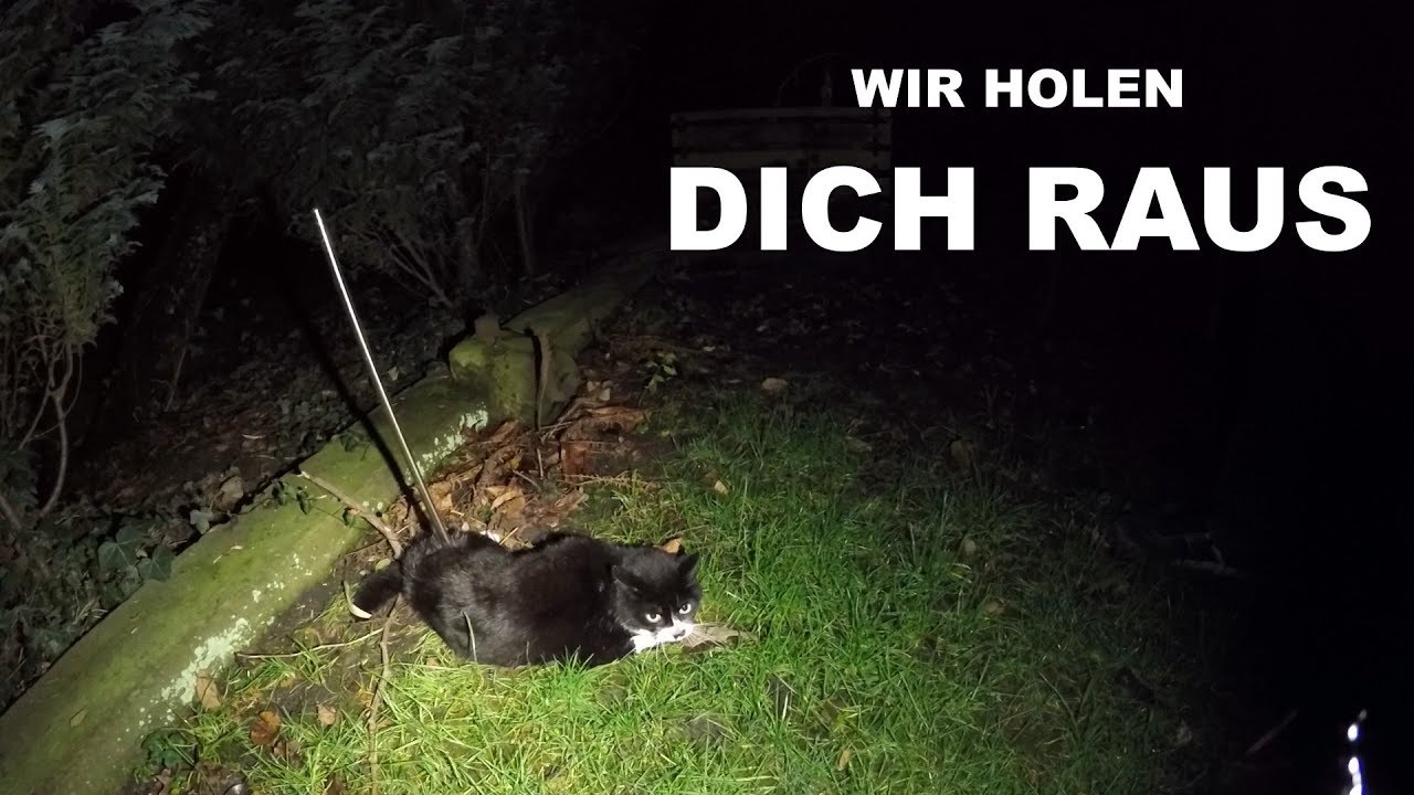 WIR HOLEN DICH RAUS - Tiernotruf #138