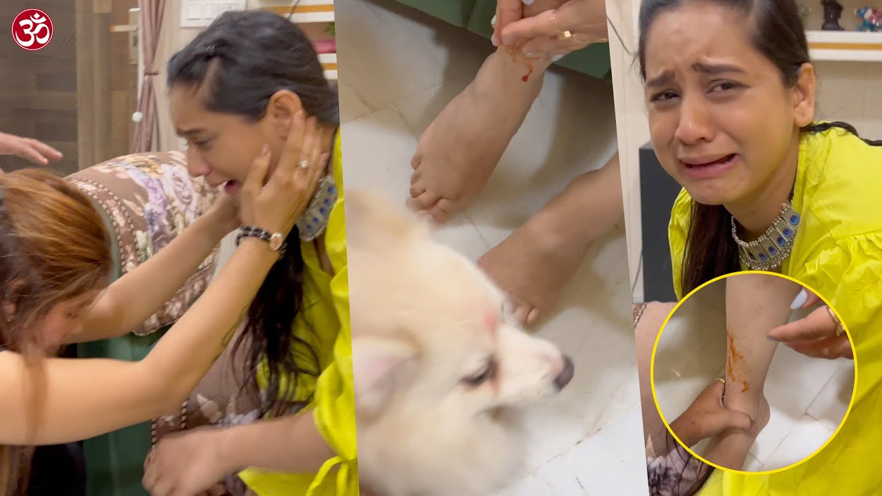 Dog Ne Kaat Diya Alisha Ko || Nitin Watts Vlogs