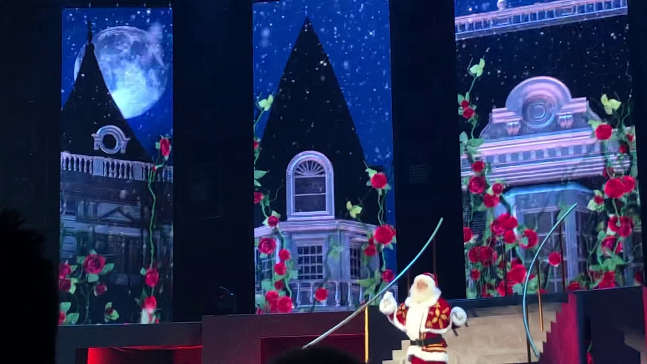 The Christmas show: doornroosje en de kerstprins - Celinde schoenmaker en ???