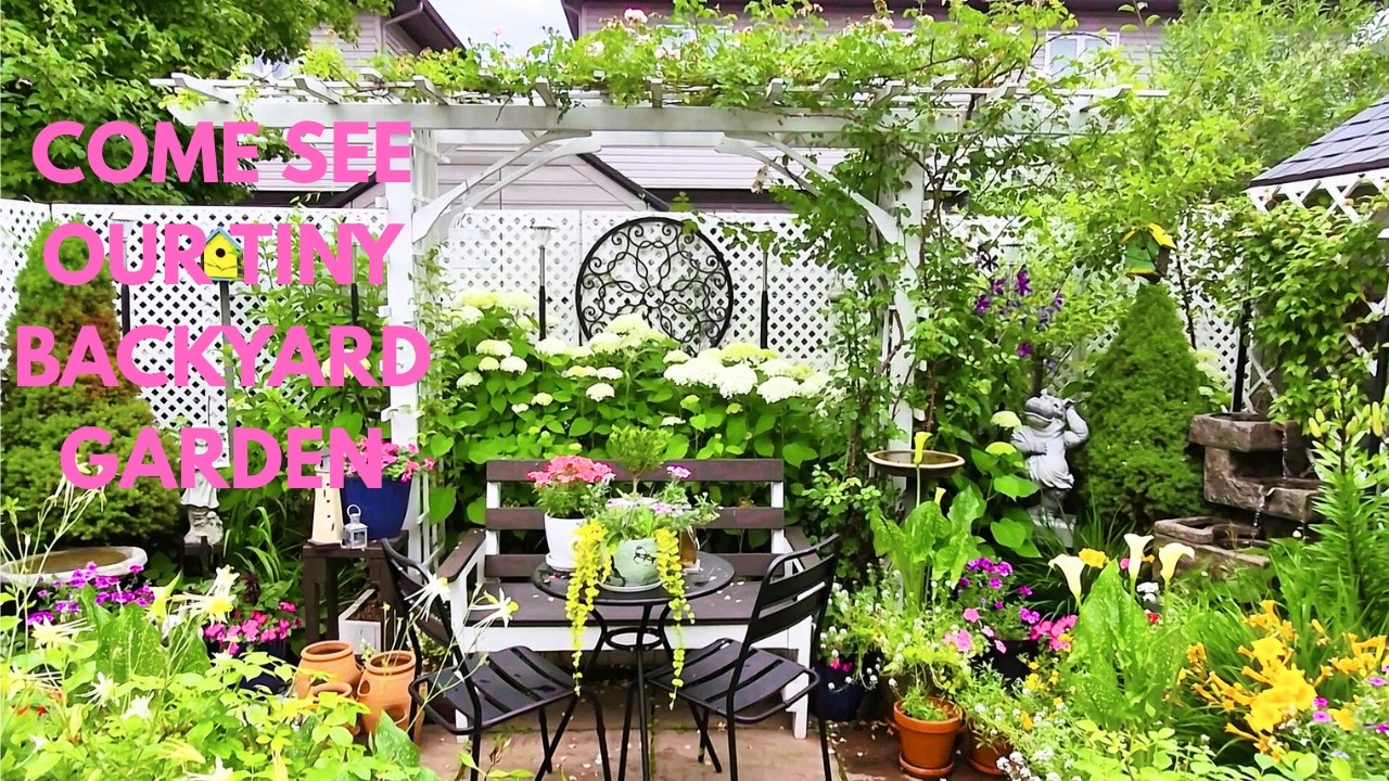 FULL VIDEO | A YEAR IN OUR TINY BACKYARD GARDEN TO RELAX #garden #plants #flowers #new #rose #relax