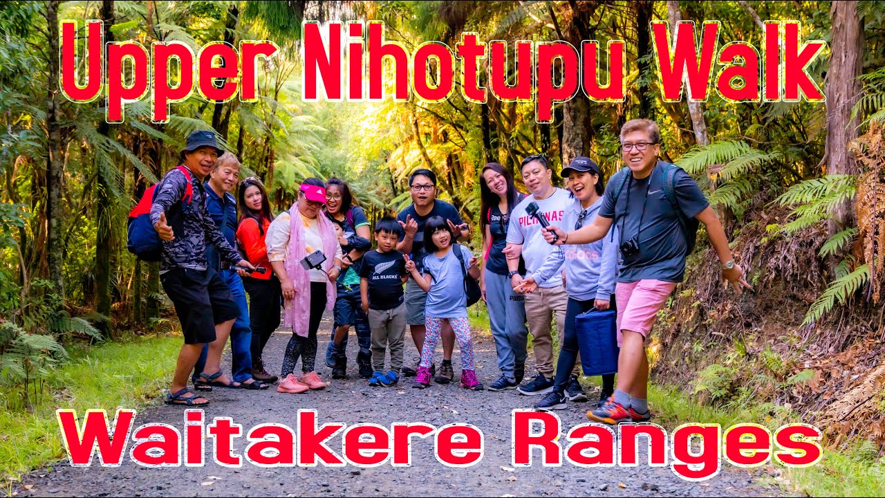 Upper Nihotupu Reservior Dam Walk, Waitakere Ranges - UHD/4K