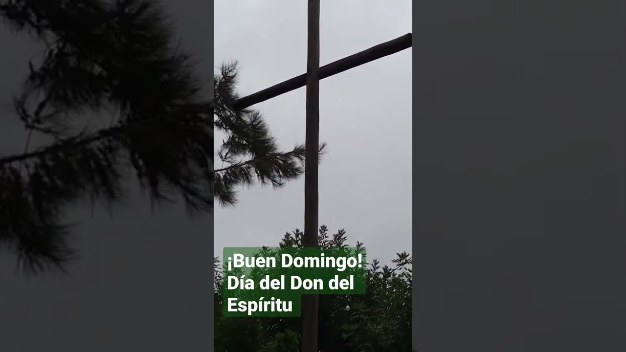 &iexcl;Buen Domingo! #domingo #buendomingo #d&iacute;adelse&ntilde;or d&iacute;adelse&ntilde;or