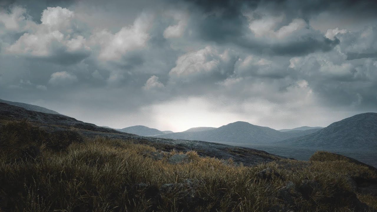 Guardians Of The Wilderness