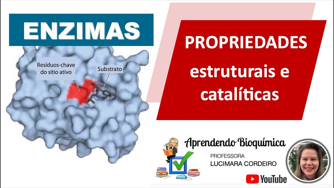 BIOQUIMICA | O que são enzimas e como elas aumentam a velocidade das reações?