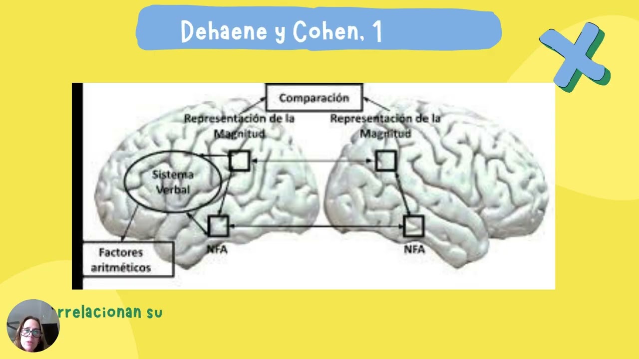 Bases neurales de las matemáticas