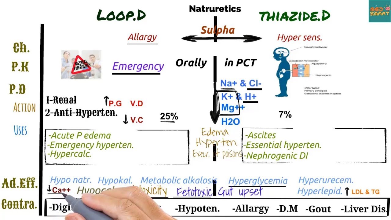 Diuretics  ( Loop & Thiazide )