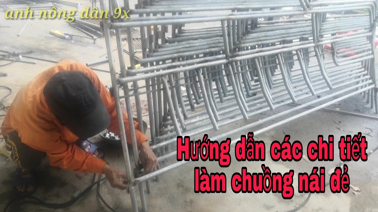 Hướng dẫn làm chuồng nái đẻ, nái hậu bị đơn giản, dễ làm