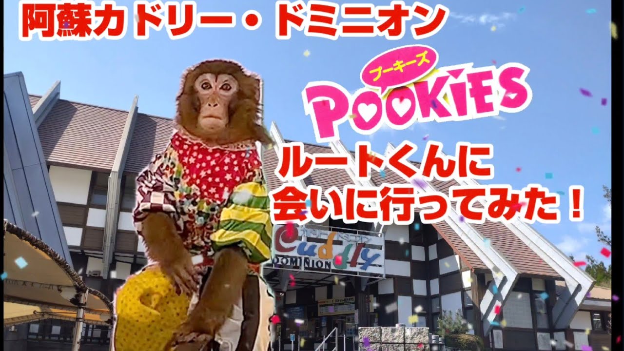 阿蘇カドリー・ドミニオン プーキーズのルートくんに会いに行ってみた！