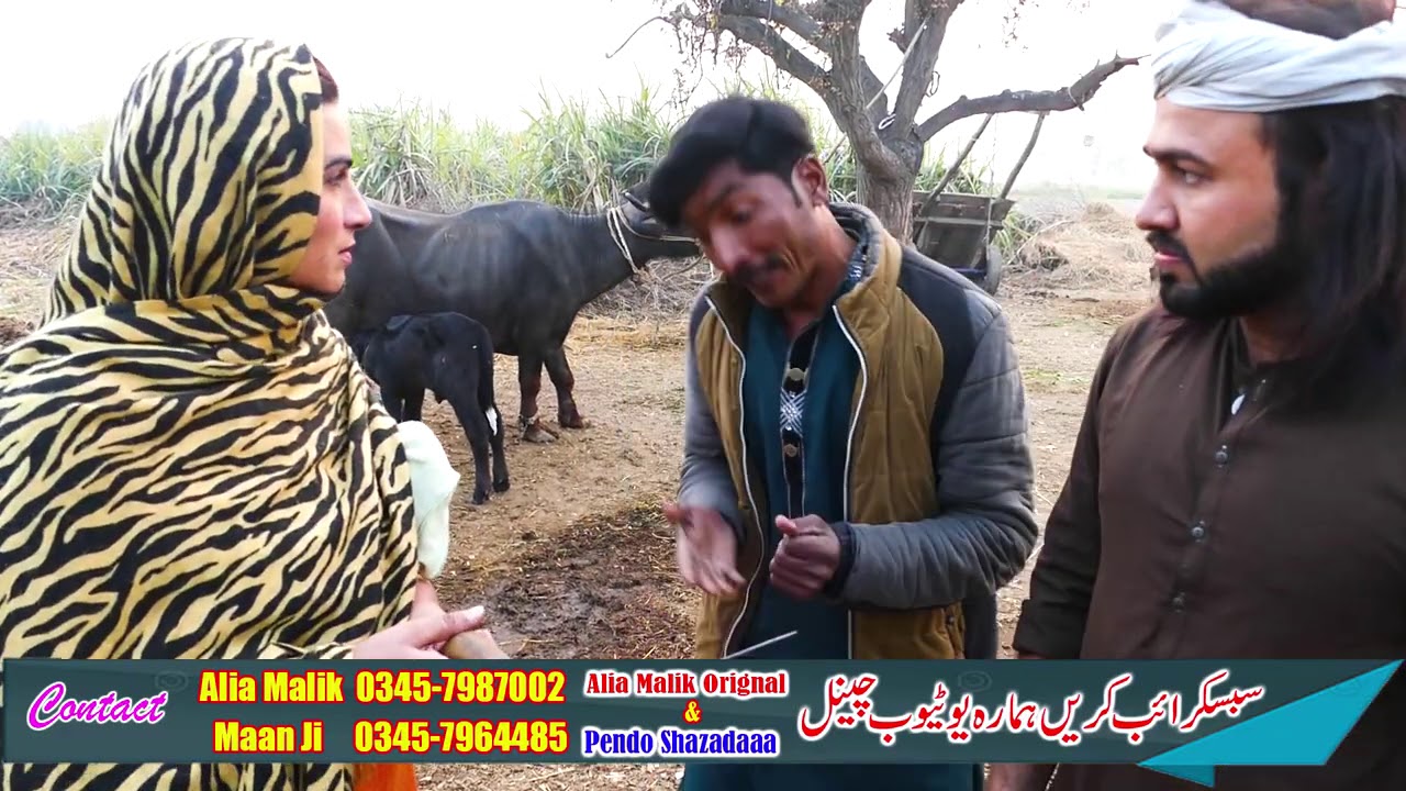 GHALTI  DI  SAZA} ALIA MALIK AND MANN JI NEW VIDEO 2021