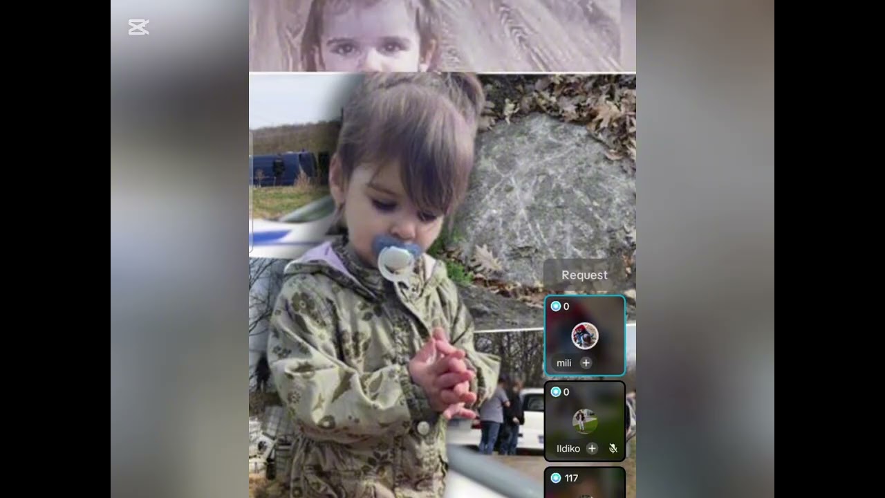 Slučaj Danka Ilić ponovo uznemirila javnost, Da li je Danka pronađena u Njemackoj