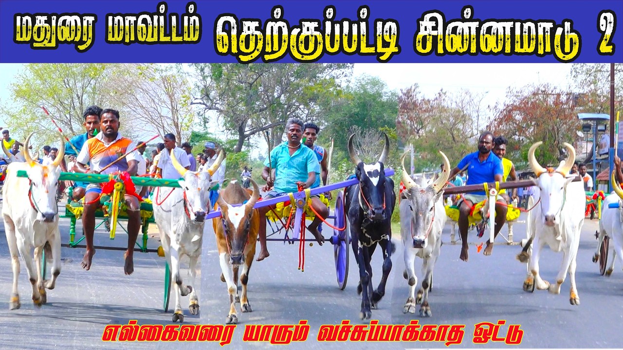 2சின்னமாடு தெற்குப்பட்டி 11.03.2026
