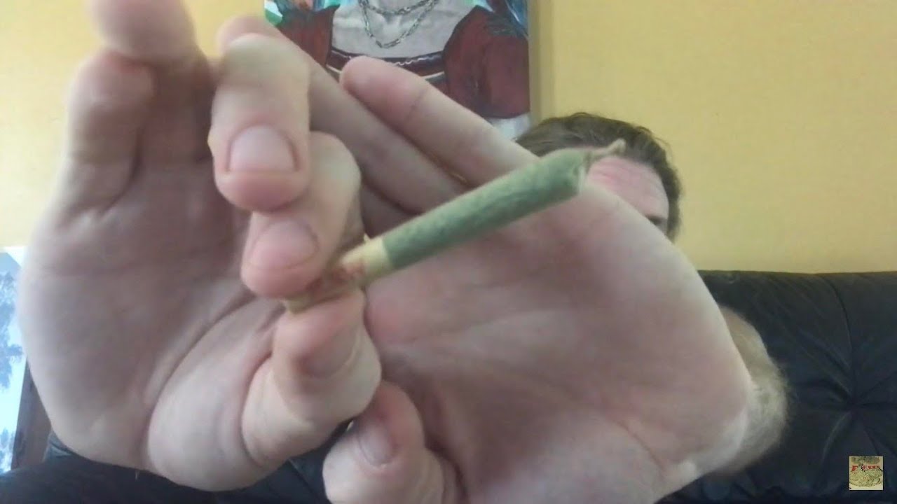 Jack the Ripper 27.23% THC preroll (strain review)
